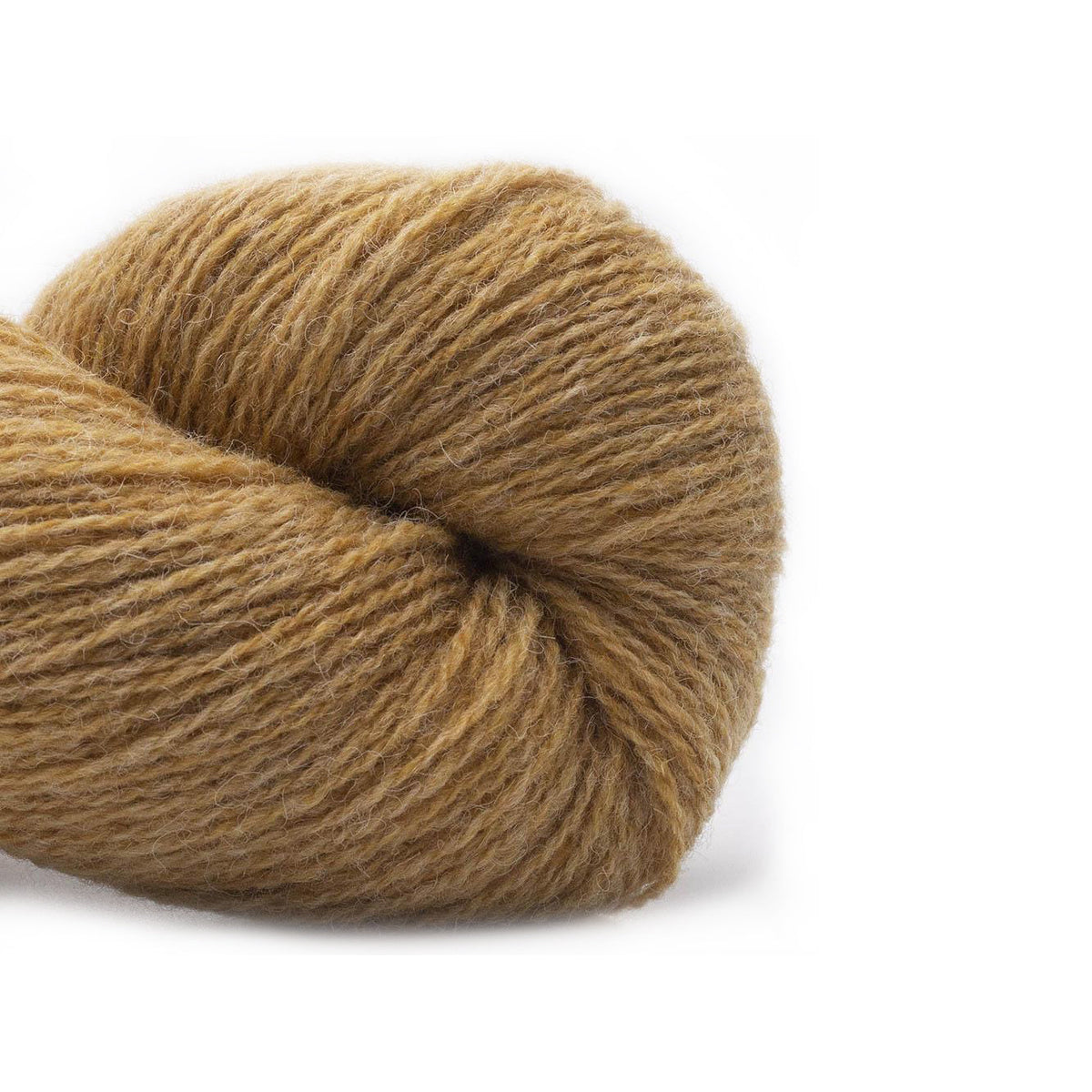 BC Garn Yarn 38 maize Bio Shetland GOTS