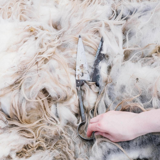 An Interview With: Óli Kristian á Torkilsheyggi of Navia Yarns
