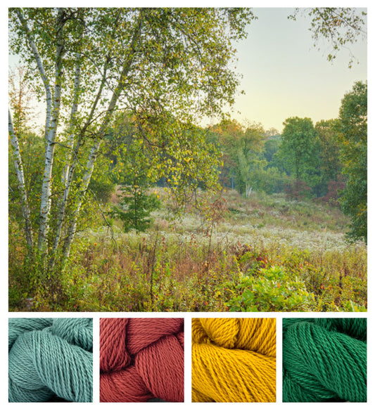 Color Stories: Houston Meadows and Andorra