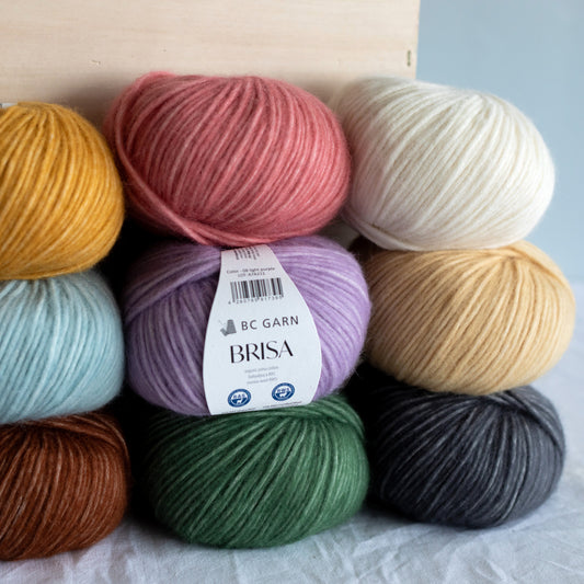 BC Garn Yarn Brisa - new!