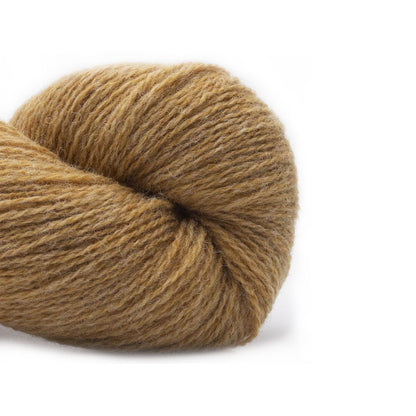 BC Garn Yarn 38 maize Bio Shetland GOTS