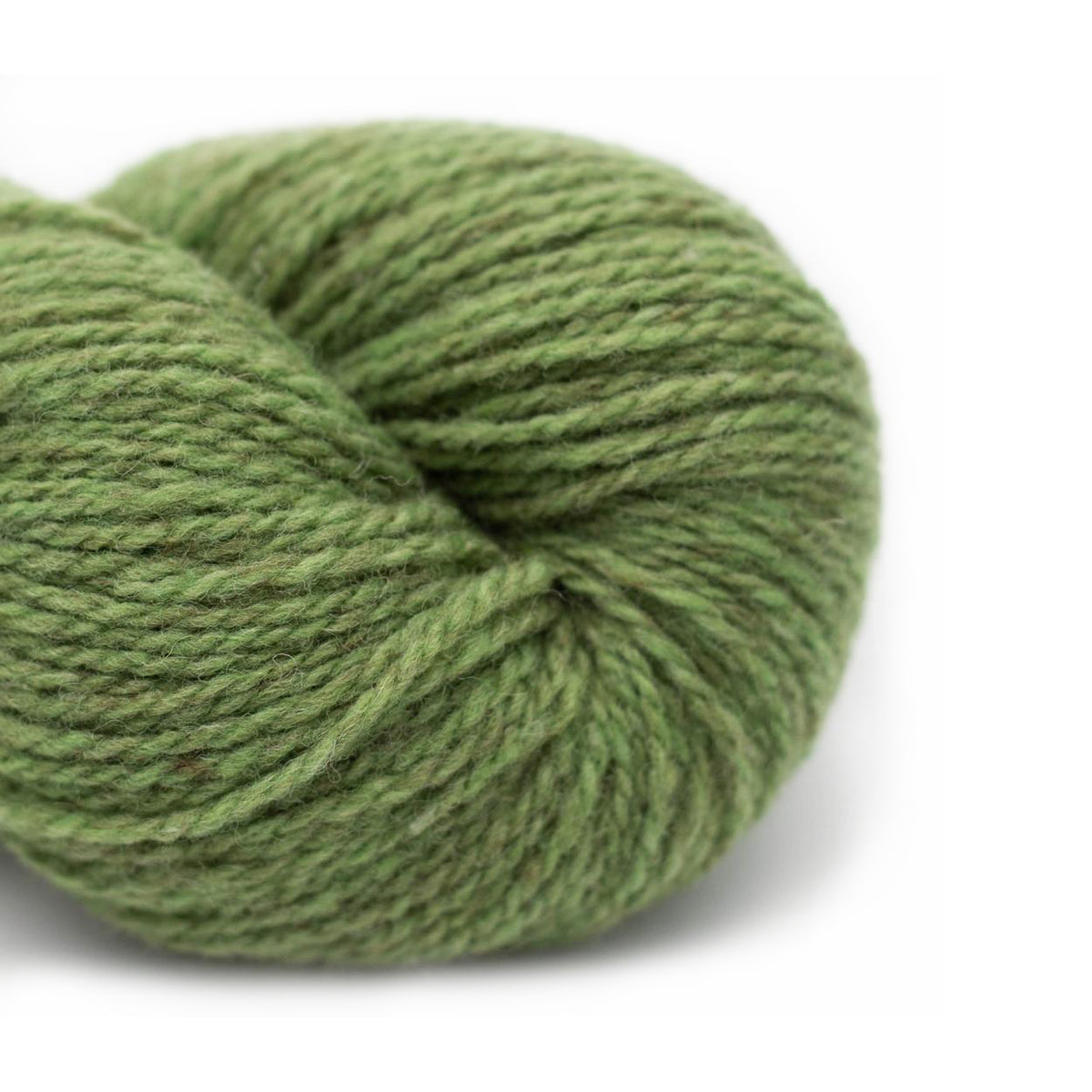 BC Garn Yarn 17 apple Semilla Melange GOTS